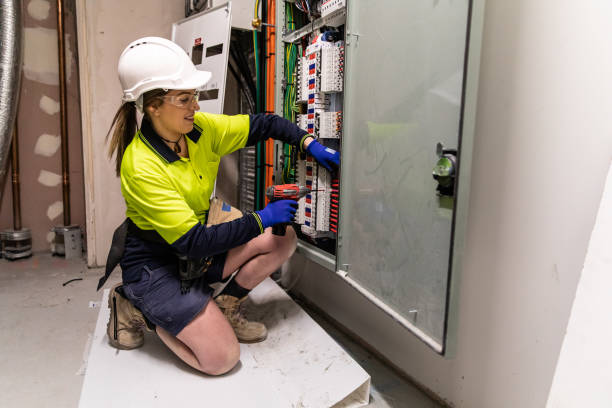 Best Electric Panel Repair  in Otsego, MN