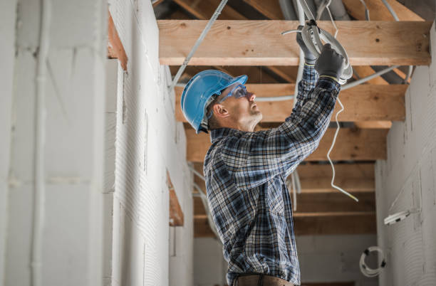 Best Industrial Electrical Services  in Otsego, MN